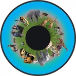 ZWIERZĘTA - Tarcze obrazkowe 6” do projektora Solar/AURA z silnikiem magnetycznym   
