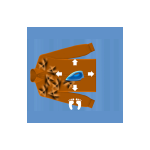 MAGICZNY DYWAN - onEVO 4.0-  zestaw MAGIA RUCHU - 15 gier -(3-12)