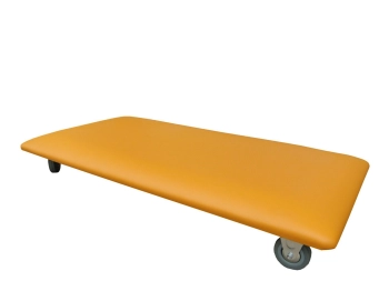 Deskorolka do SI - 40 x 60 cm