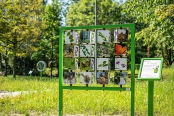 Park Doświadczeń i Edukacji  -  KOSTKI PAMIĘCI ZWIERZAKI