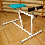 Przyrząd do wzmacniania mięśni grzbietu „KONIK PLUS” - APWG-01