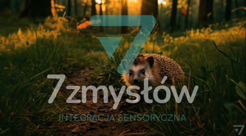 Projekcja Las – film relaksacyjny do sal Snoezelen, 7 Zmysłów