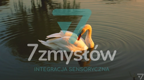 Projekcja Jezioro – film relaksacyjny do sal Snoezelen, 7 Zmysłów