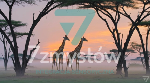 Projekcja Sawanna – film relaksacyjny do sal Snoezelen, 7 Zmysłów