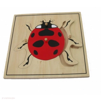 Puzzle drewniane- Biedronka - pomoce Montessori   
